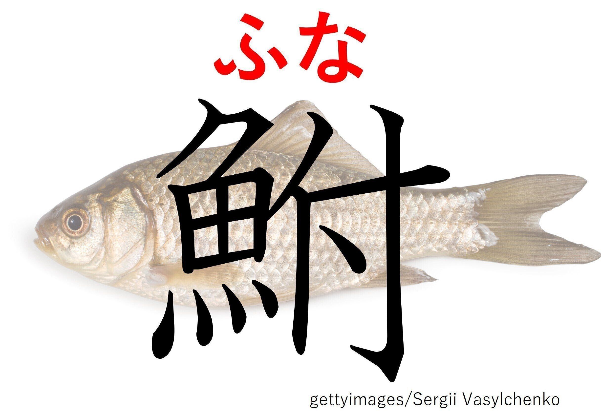 正解は「ふな」