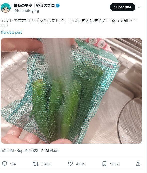 ネットで洗えば産毛がとれる