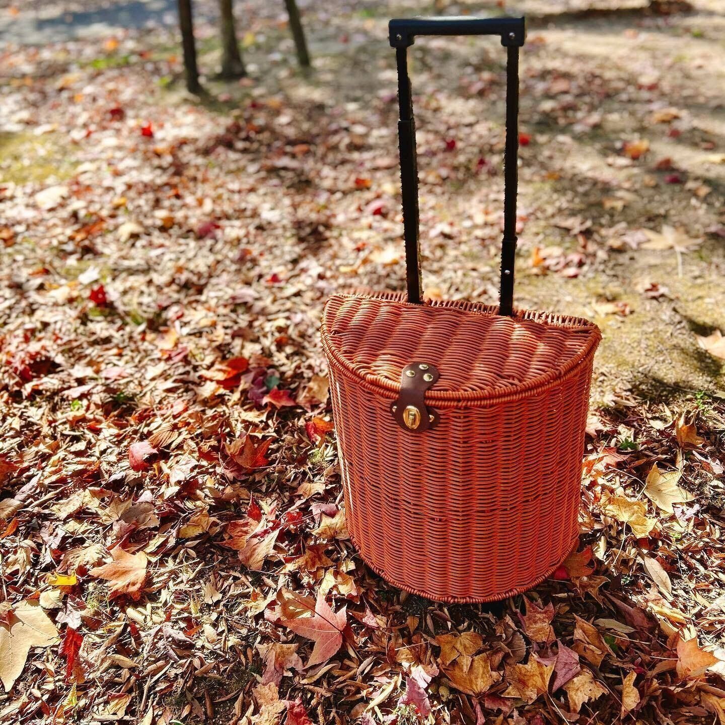 SNSで話題！【3coins】「しっかりしてる」「気になってた」今買うべきアイテム3選