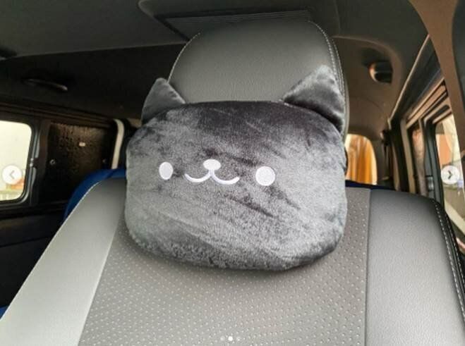 ダイソー セリア おすすめの100均クッション クッションカバー31選 顔をうずめて癒されたりまったりするのにピッタリ サンキュ