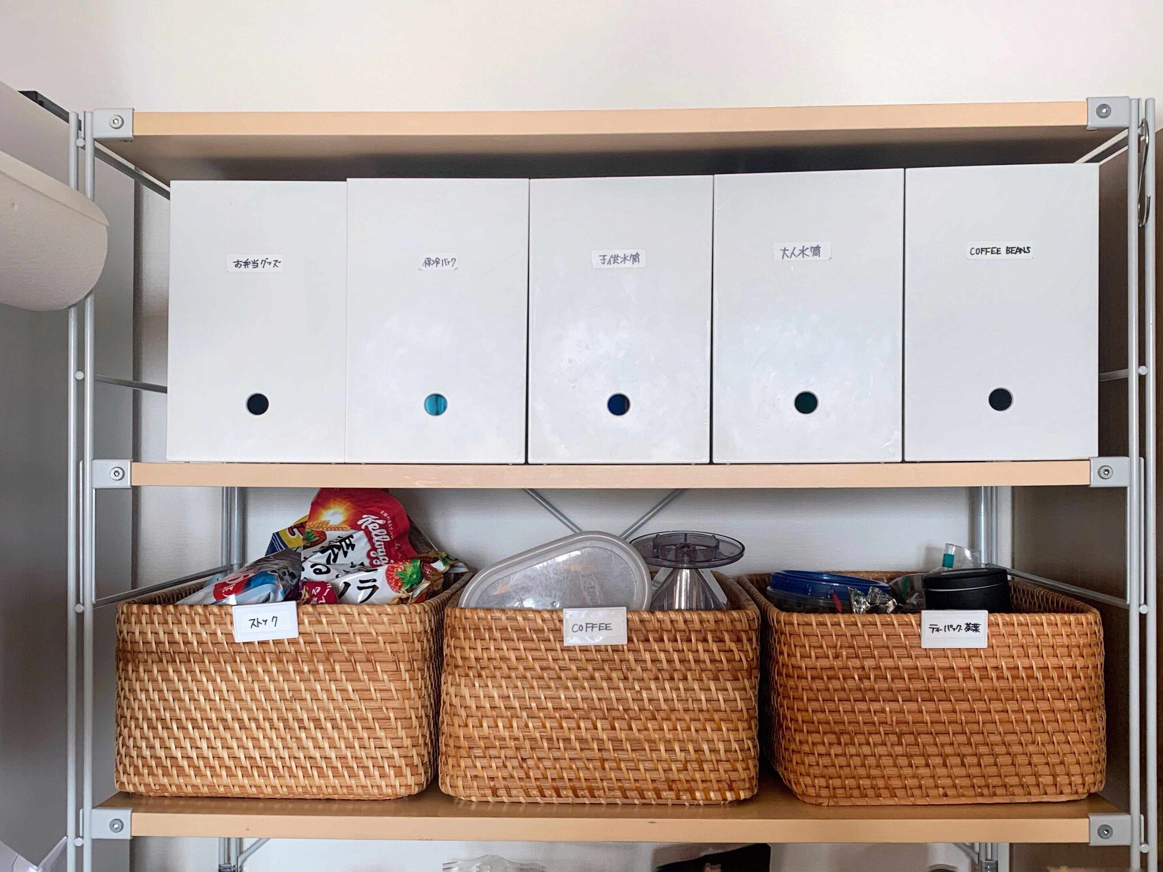 ポリプロピレンファイルボックス