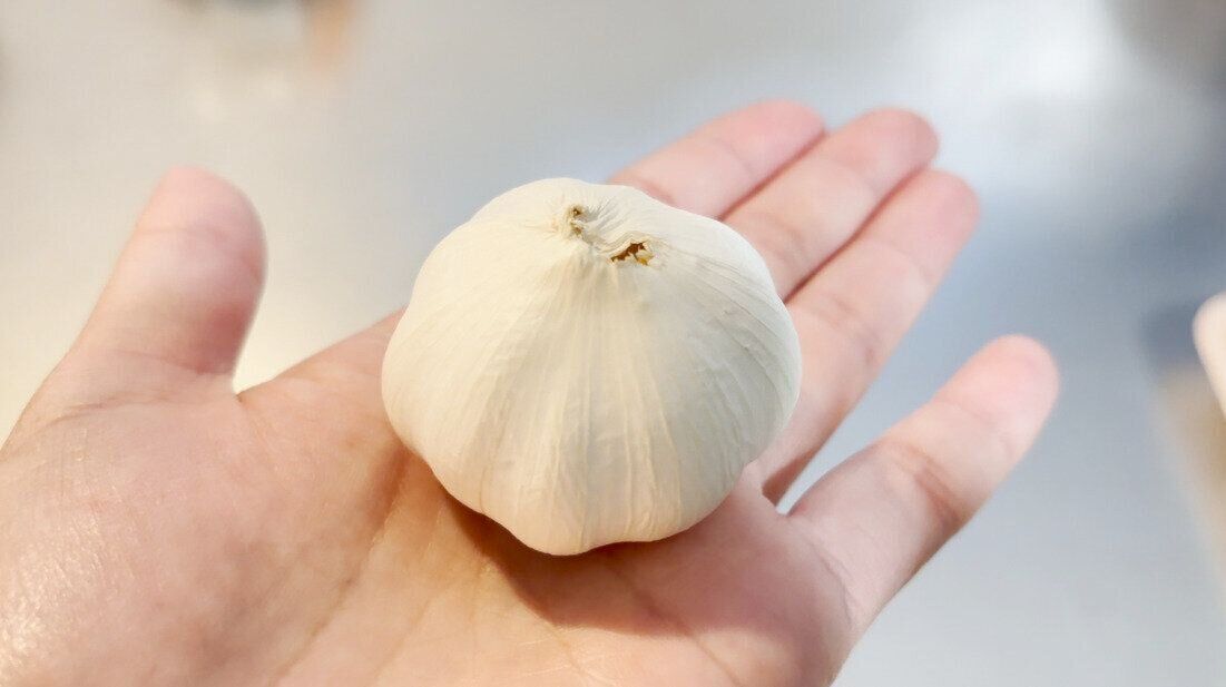 手のひらにのせたにんにく