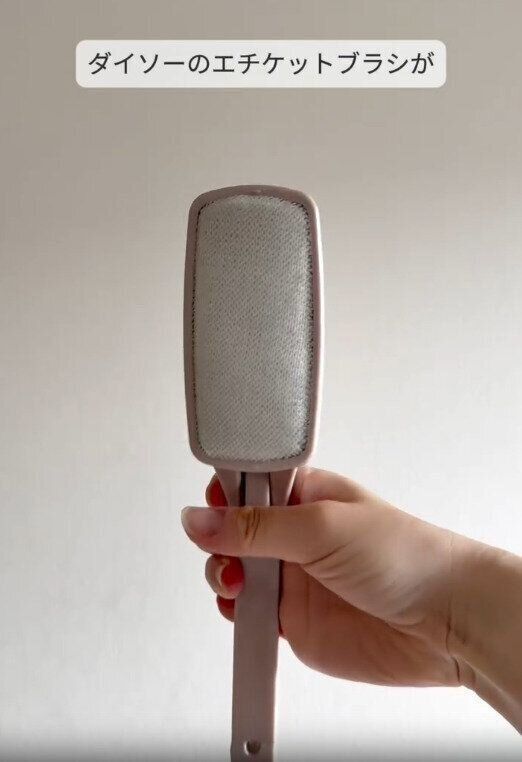 【ダイソー】大人気！ダイソーのエチケットブラシ