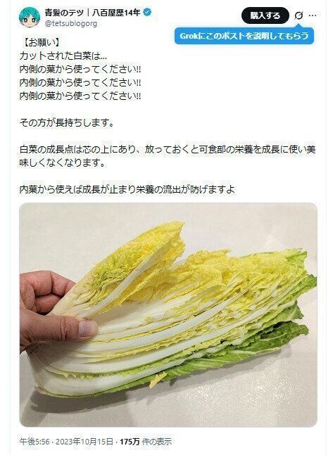 白菜のとりかた