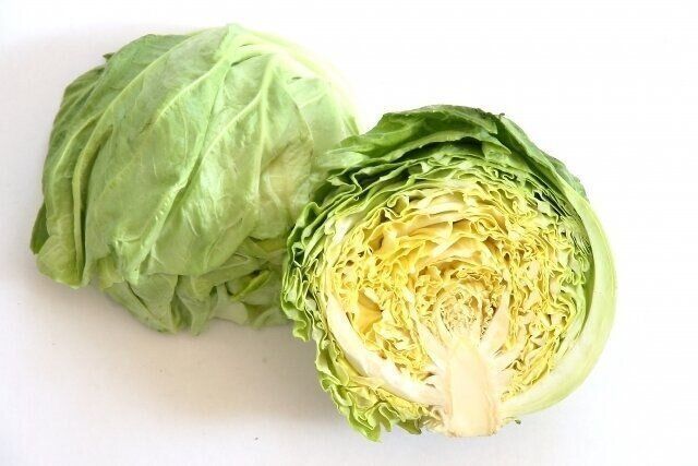 春キャベツ