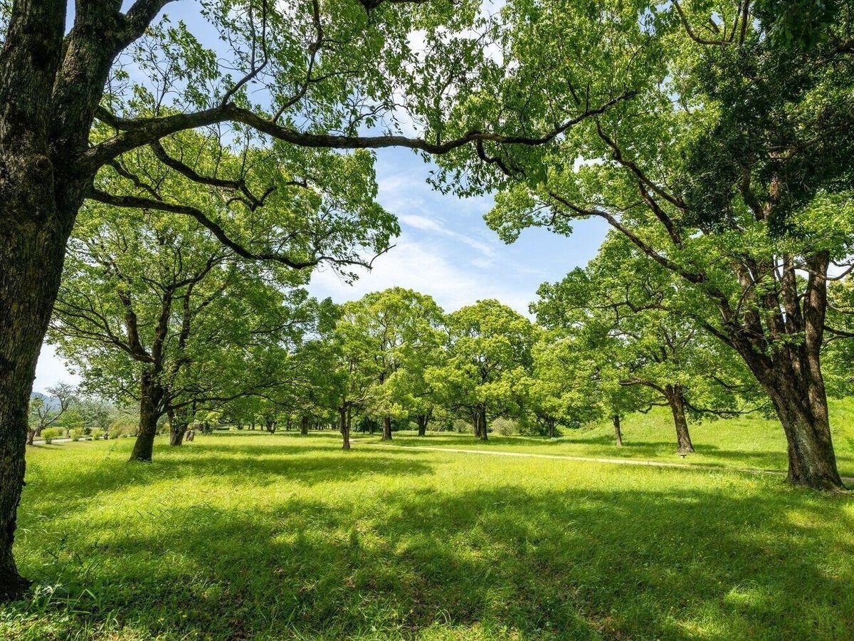 貯まらない人・貯まる人の差は休日の“昼”にあった!