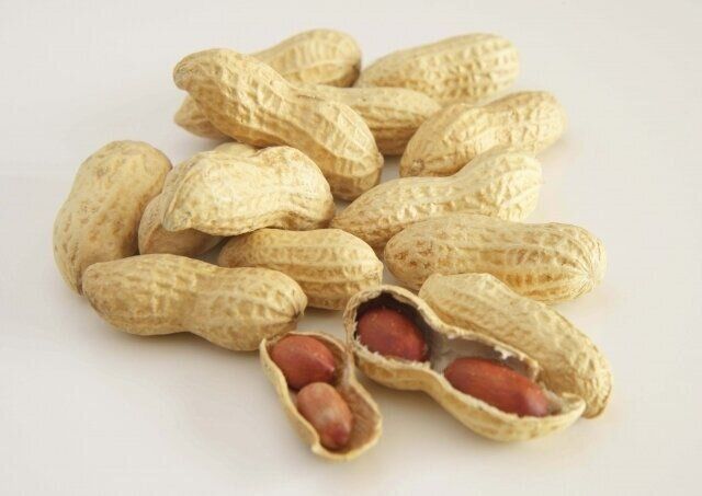 落花生　薬膳