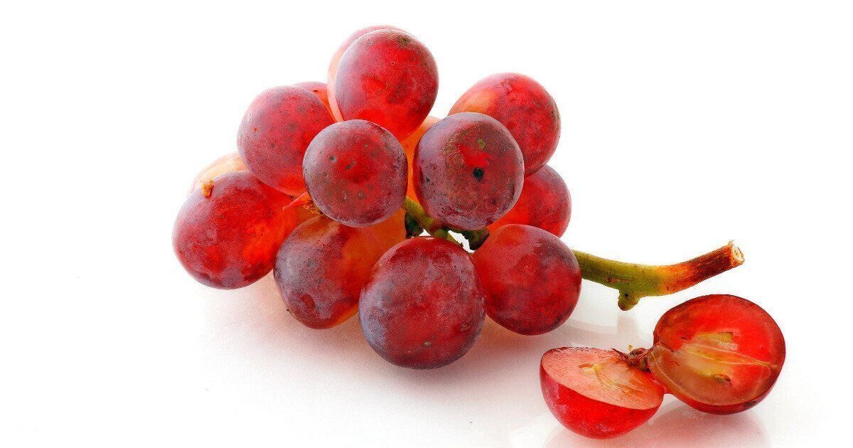 ぶどう　残暑バテ