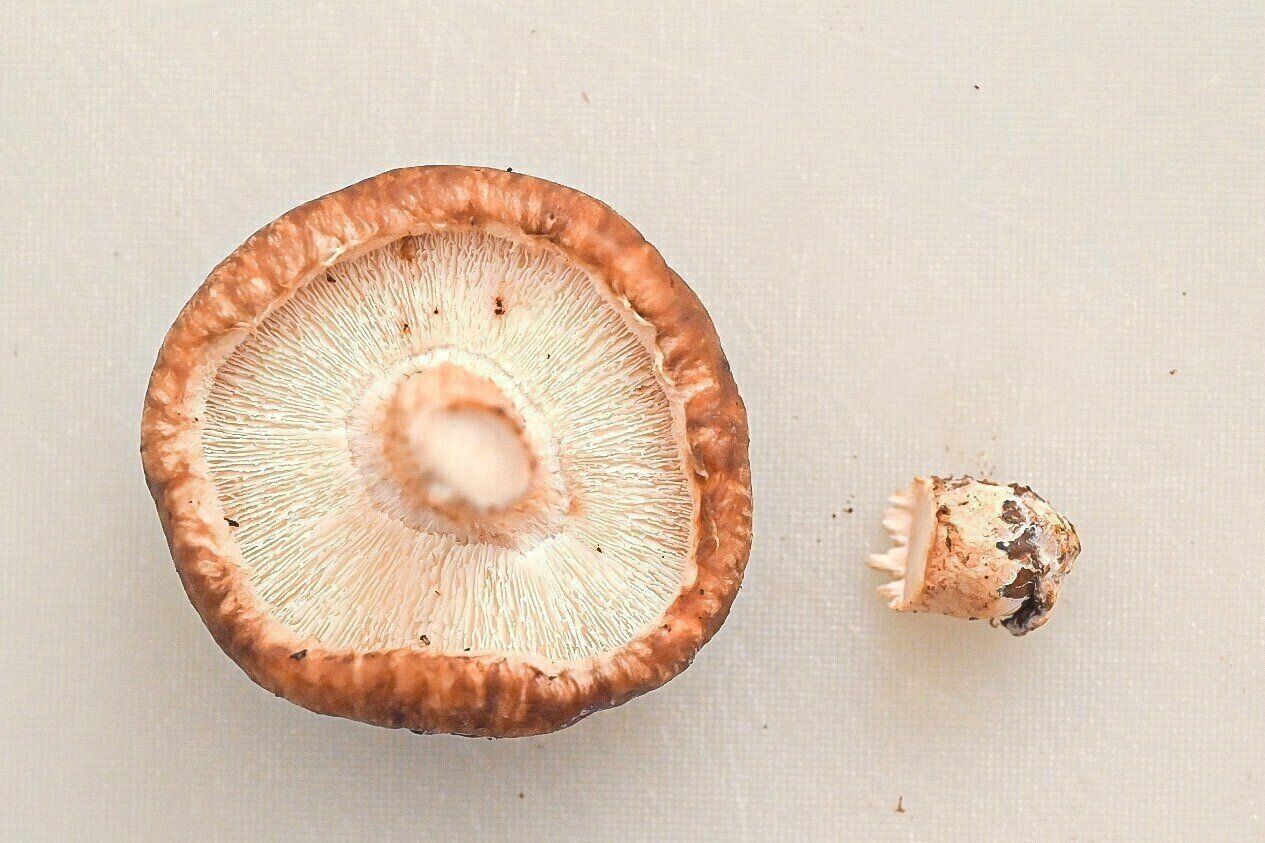 軸を切り落としたしいたけ