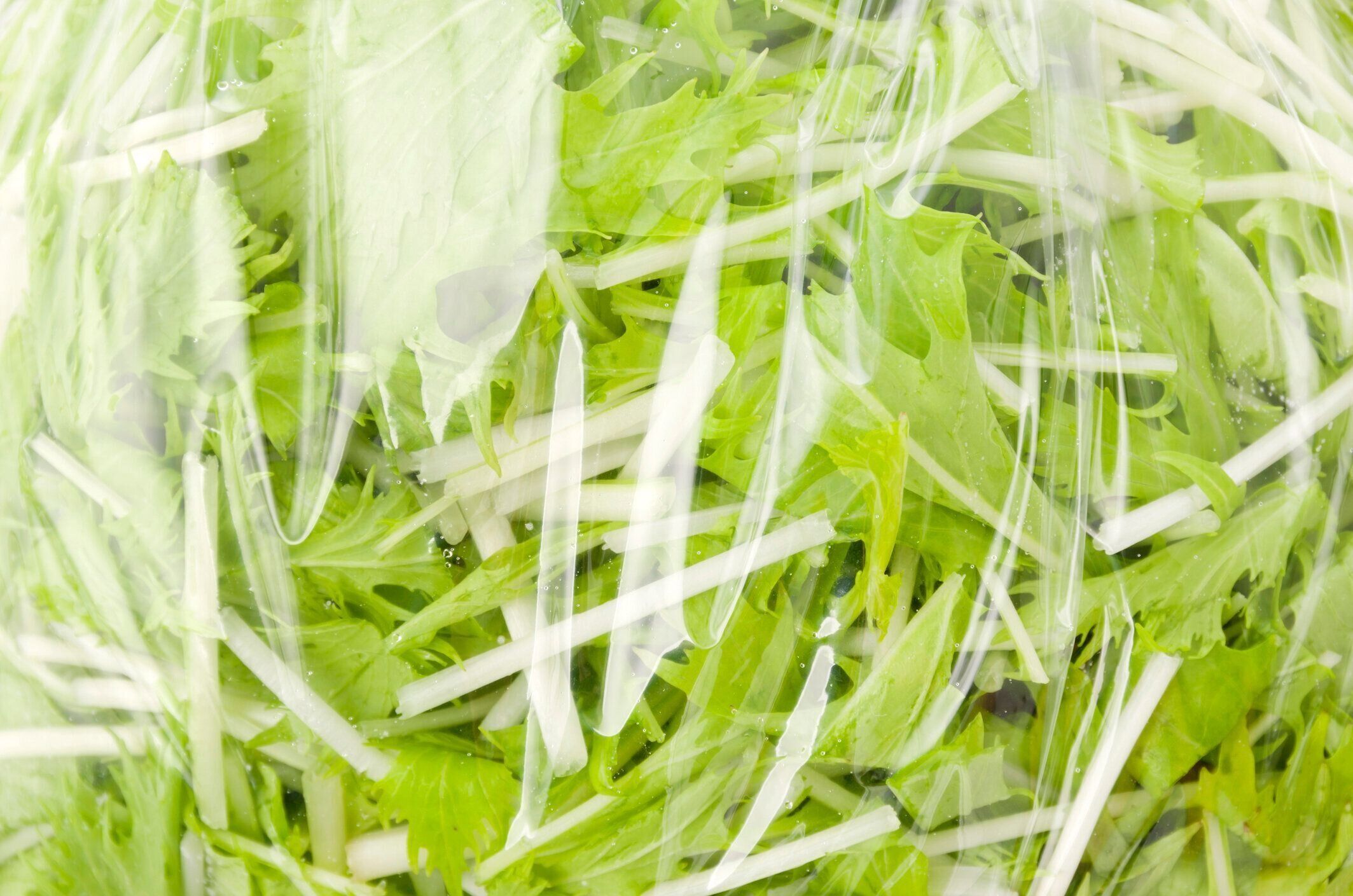 ビニール袋に入れた野菜(ペザーブマスタード)