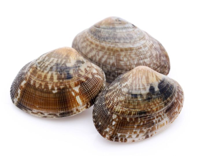 管理栄養士監修 あさり の主な栄養素とカロリーまとめ おすすめな調理方法は サンキュ 管理栄養士監修 あさり の主な栄養素とカロリーまとめ おすすめな調理方法は サンキュ