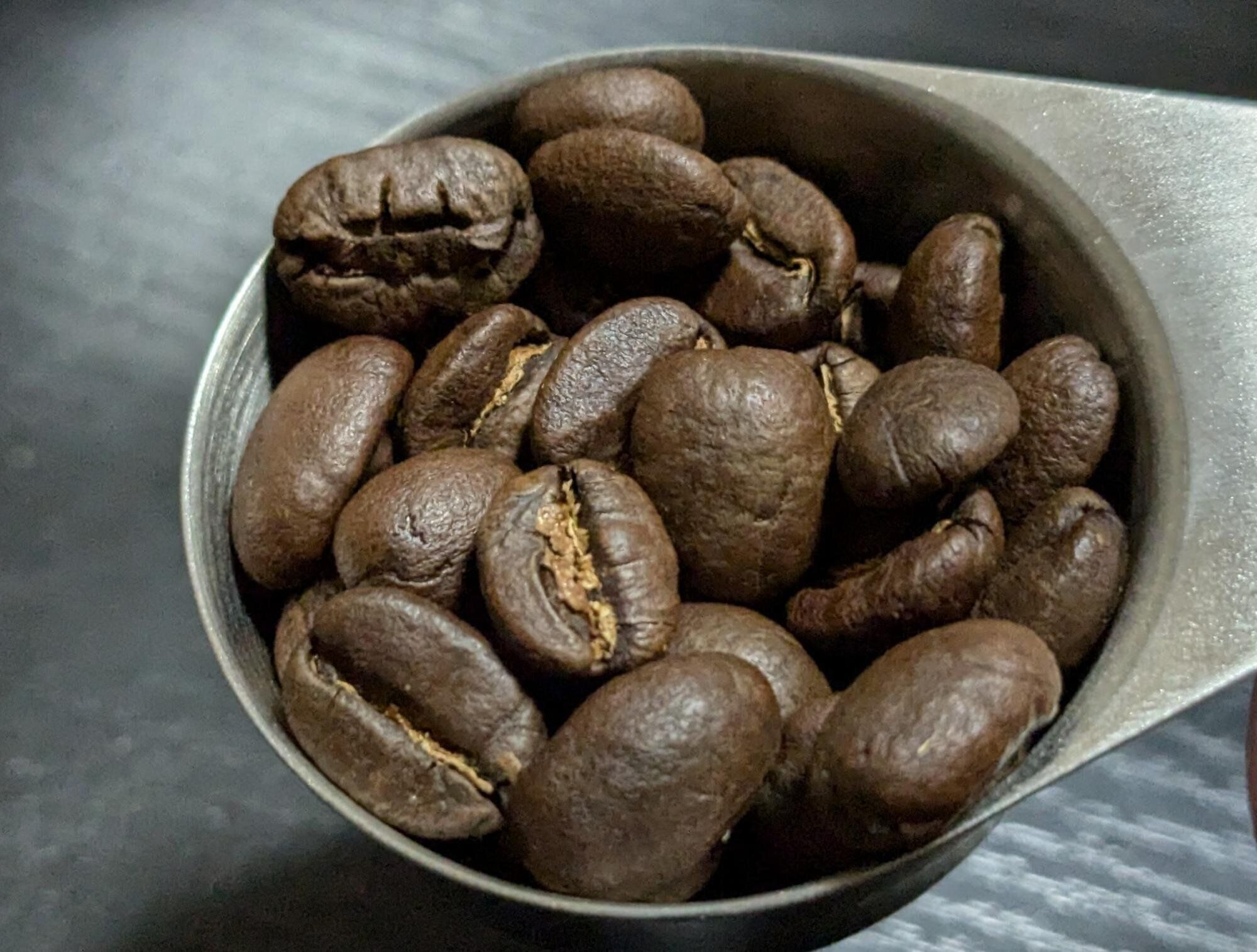 ステンレス　コーヒースクープ