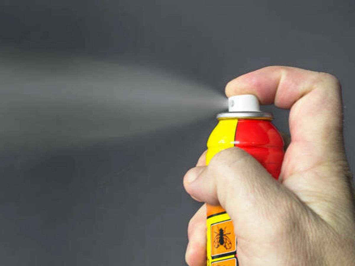 昆虫の制御用のエアロゾル。