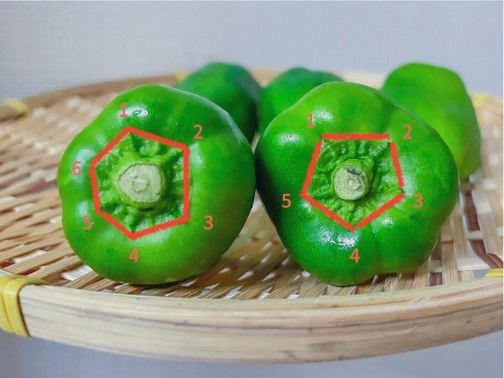 野菜ソムリエが解説 実はピーマンは ある部分 を見れば 苦味の強さが分かるって知ってた サンキュ 野菜ソムリエが解説 実はピーマンは ある部分 を見れば 苦味の強さが分かるって知ってた サンキュ
