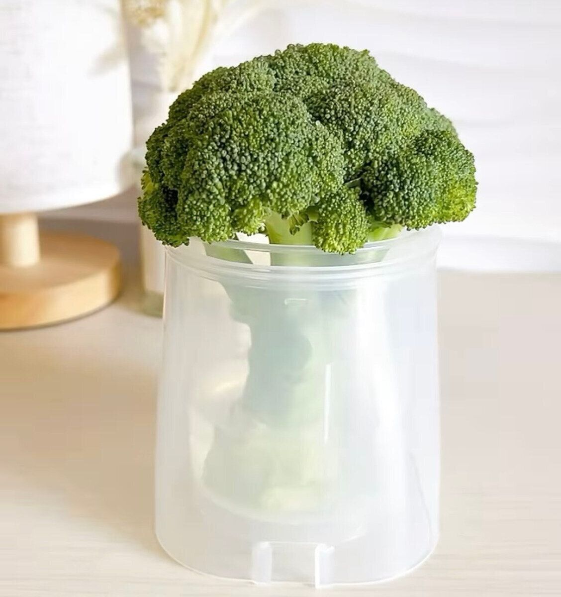 新鮮さをキープして野菜を保管！「野菜イキイキスタンド」