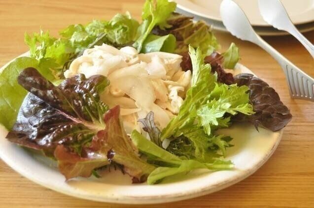 鶏ささ身肉と新玉ネギのマリネサラダ