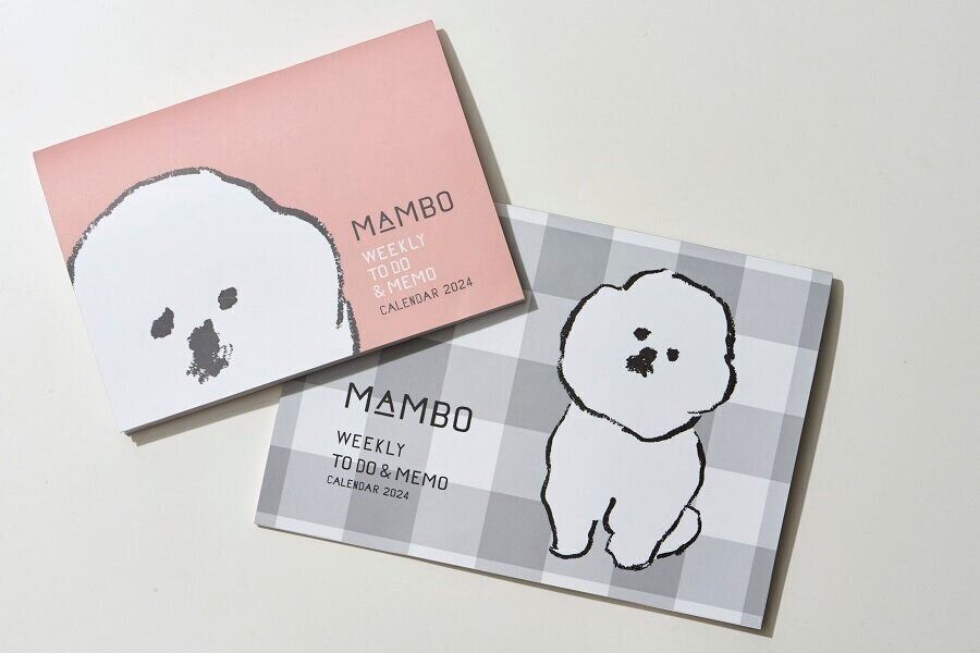 サンキュ！24年1月号別冊付録通常＆ミニ