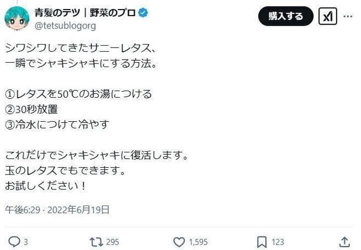 シャキシャキサニーレタス