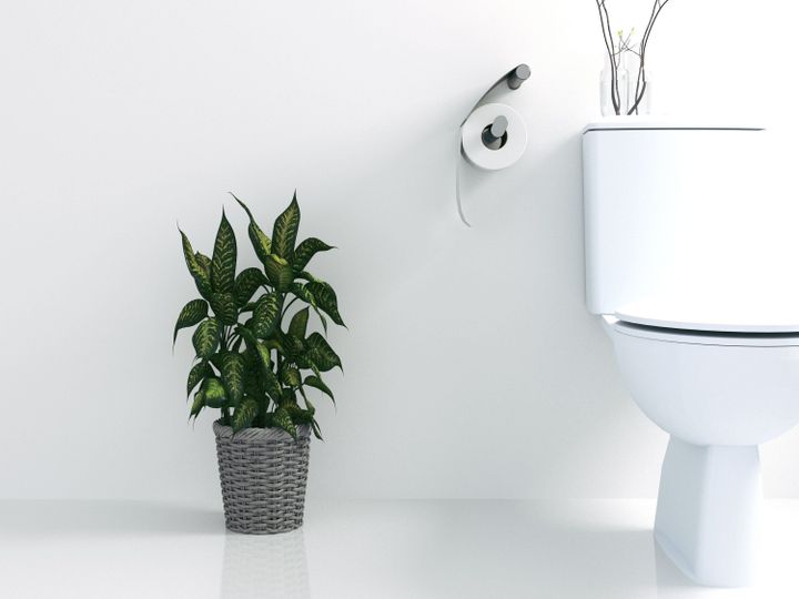 トイレのニオイで運気が下がる の香りで金運アップ Dr コパの風水解説 サンキュ トイレのニオイで運気が下がる の香りで金運アップ Dr コパの風水解説 サンキュ