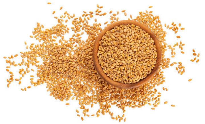 白い背景、トップビューで分離された小麦穀物