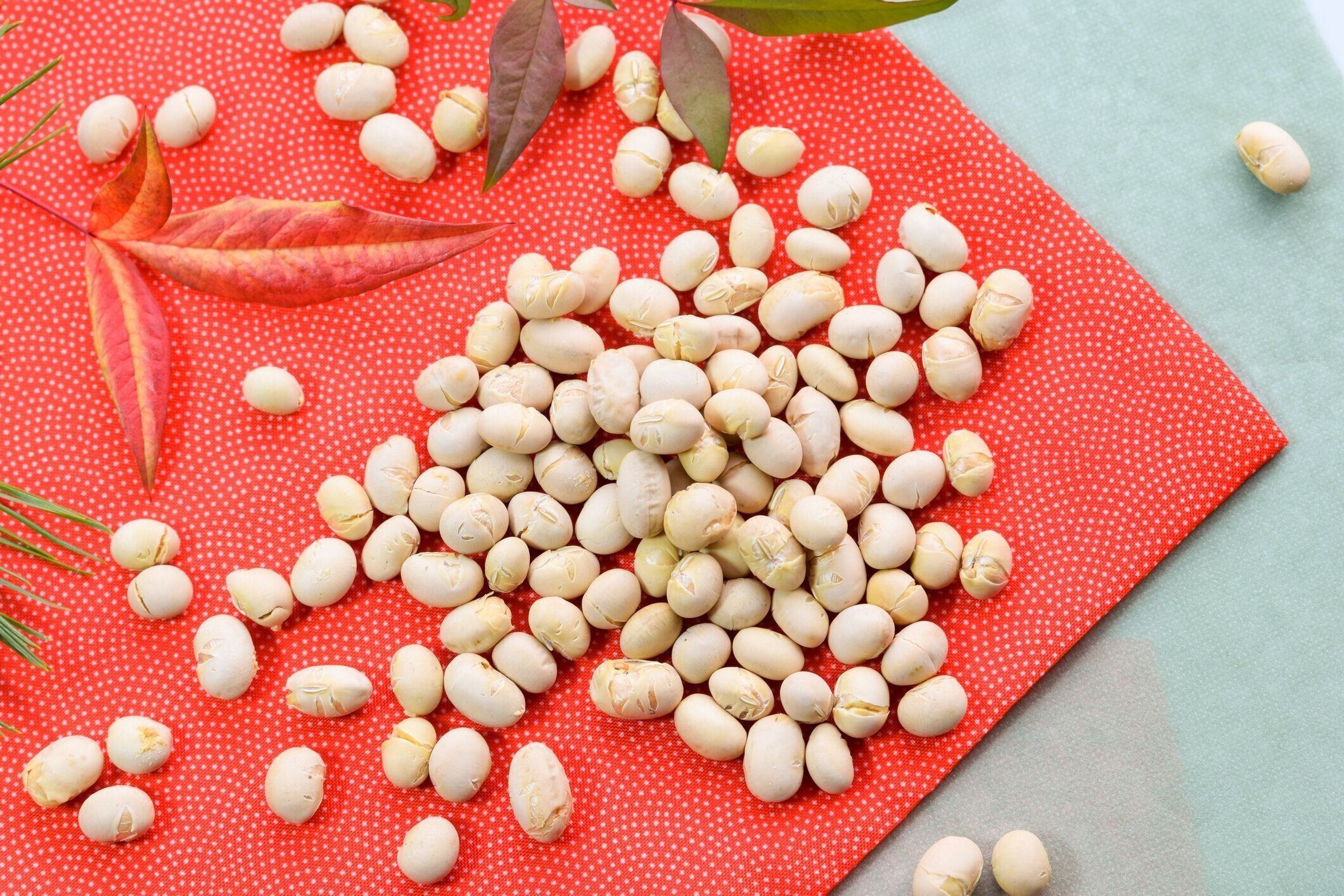 日本の祭り、節分のための焙煎大豆