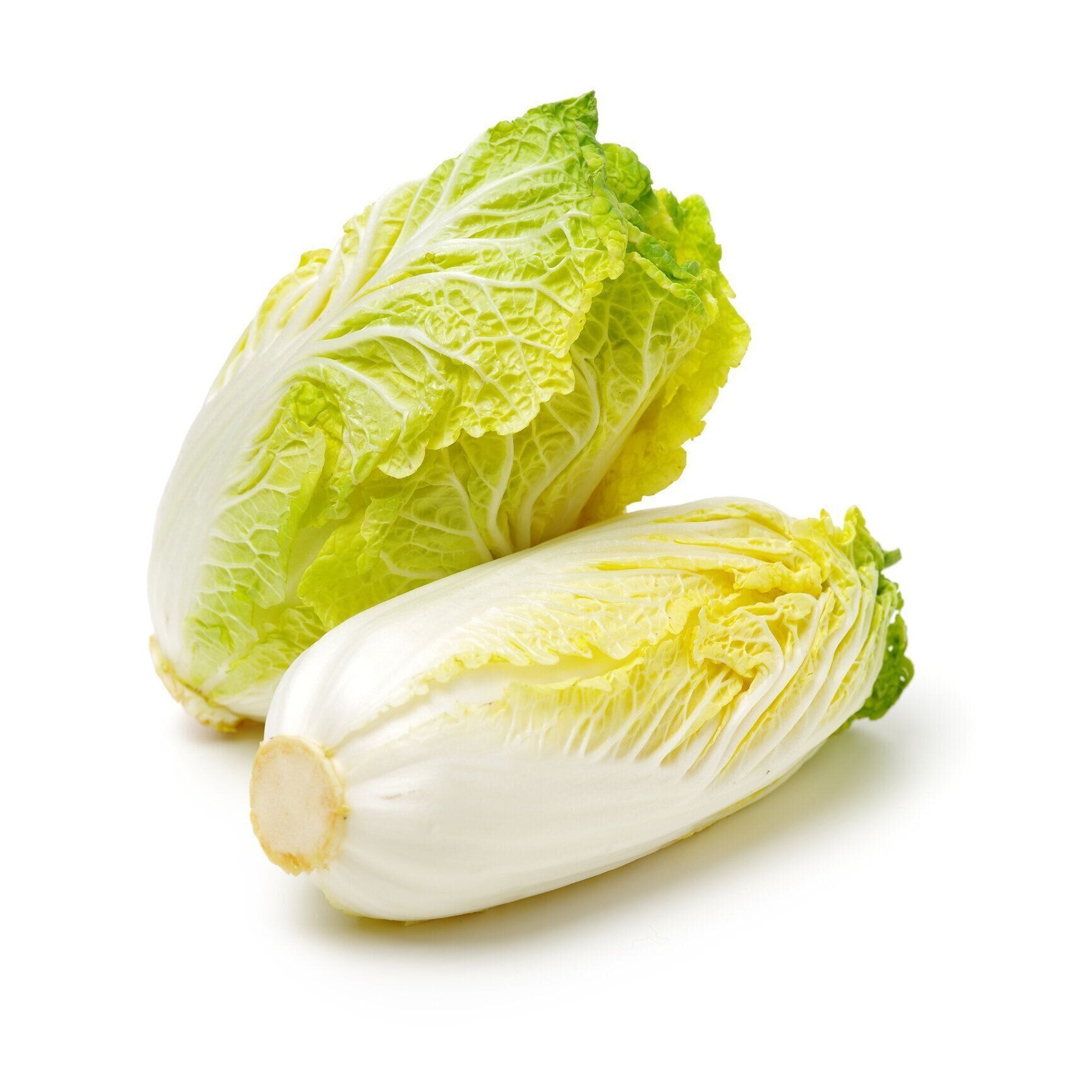 ミニティエンシン・パクチョイ「ワワカイ」