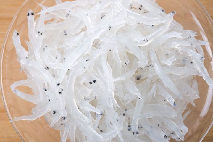 管理栄養士監修 しらす の主な栄養素とカロリーまとめ おすすめな調理方法は サンキュ 管理栄養士監修 しらす の主な栄養素とカロリーまとめ おすすめな調理方法は サンキュ
