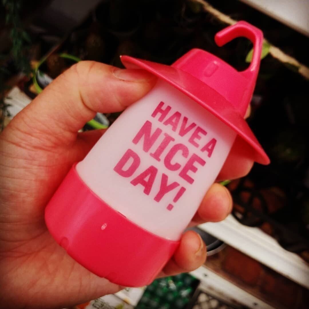 【キャンドゥ】フックがついて便利！ミニランタン