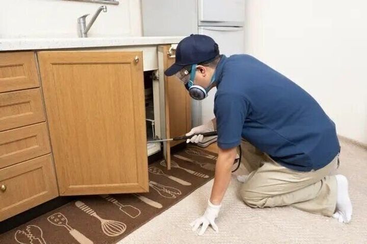 ゴキブリはアロマオイルでも対策できる おすすめの種類や効果的な使い方 サンキュ ゴキブリはアロマオイルでも対策できる おすすめの種類や効果的な使い方 サンキュ