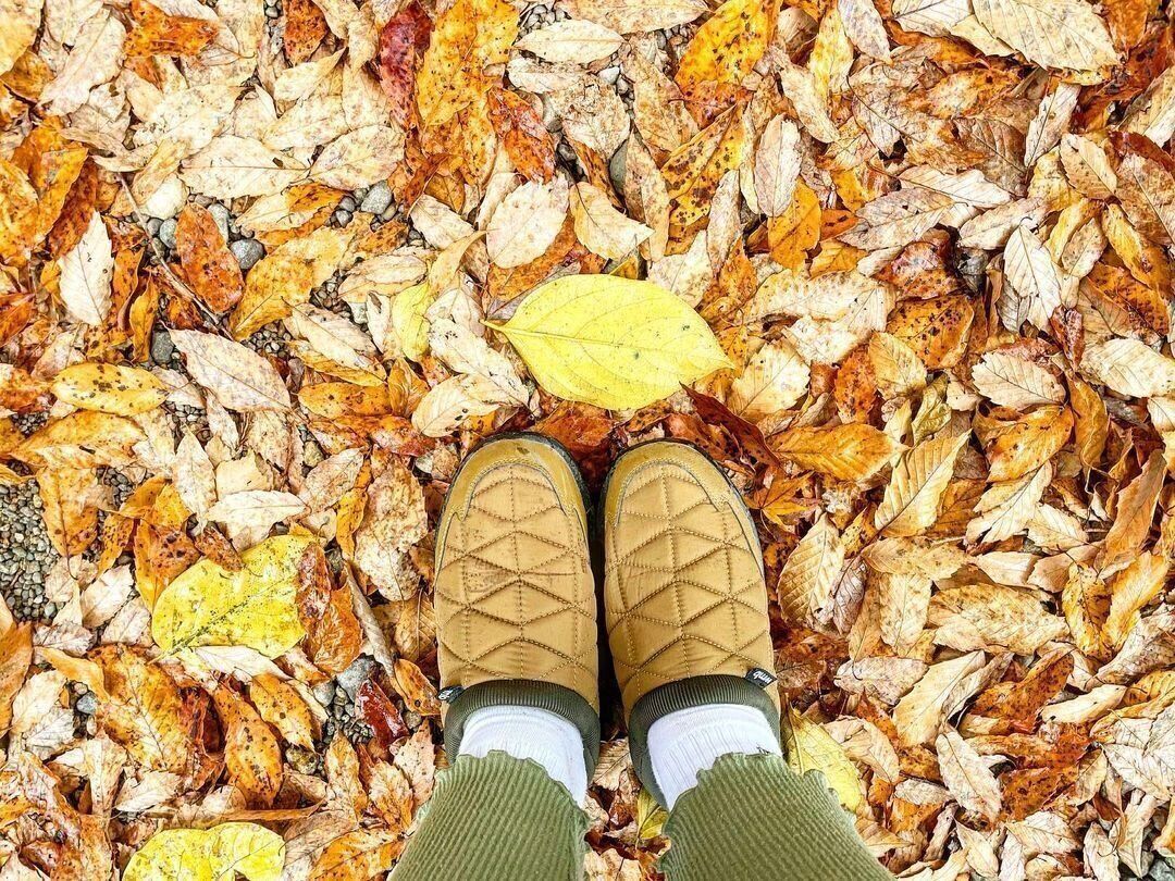 【ワークマン】毎年リピ買い！トレッドモック