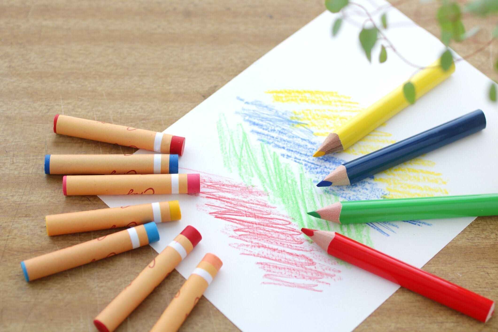 色鉛筆、クレヨン、図面