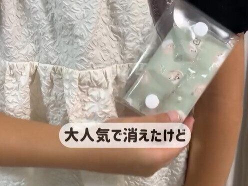 大人気で消えたけど、最近復活！【セリア】「SNSでもバズってる」お出かけに便利な隠れ人気アイテム2選