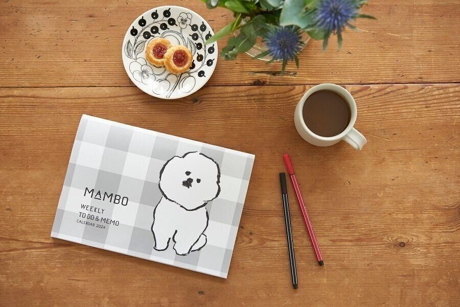 サンキュ！24年1月号別冊付録通常版