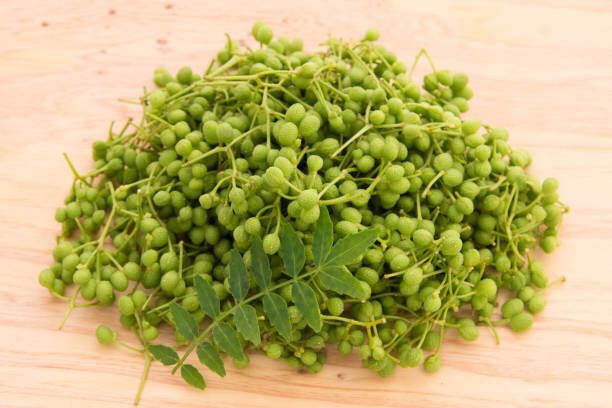 日本のコショウ