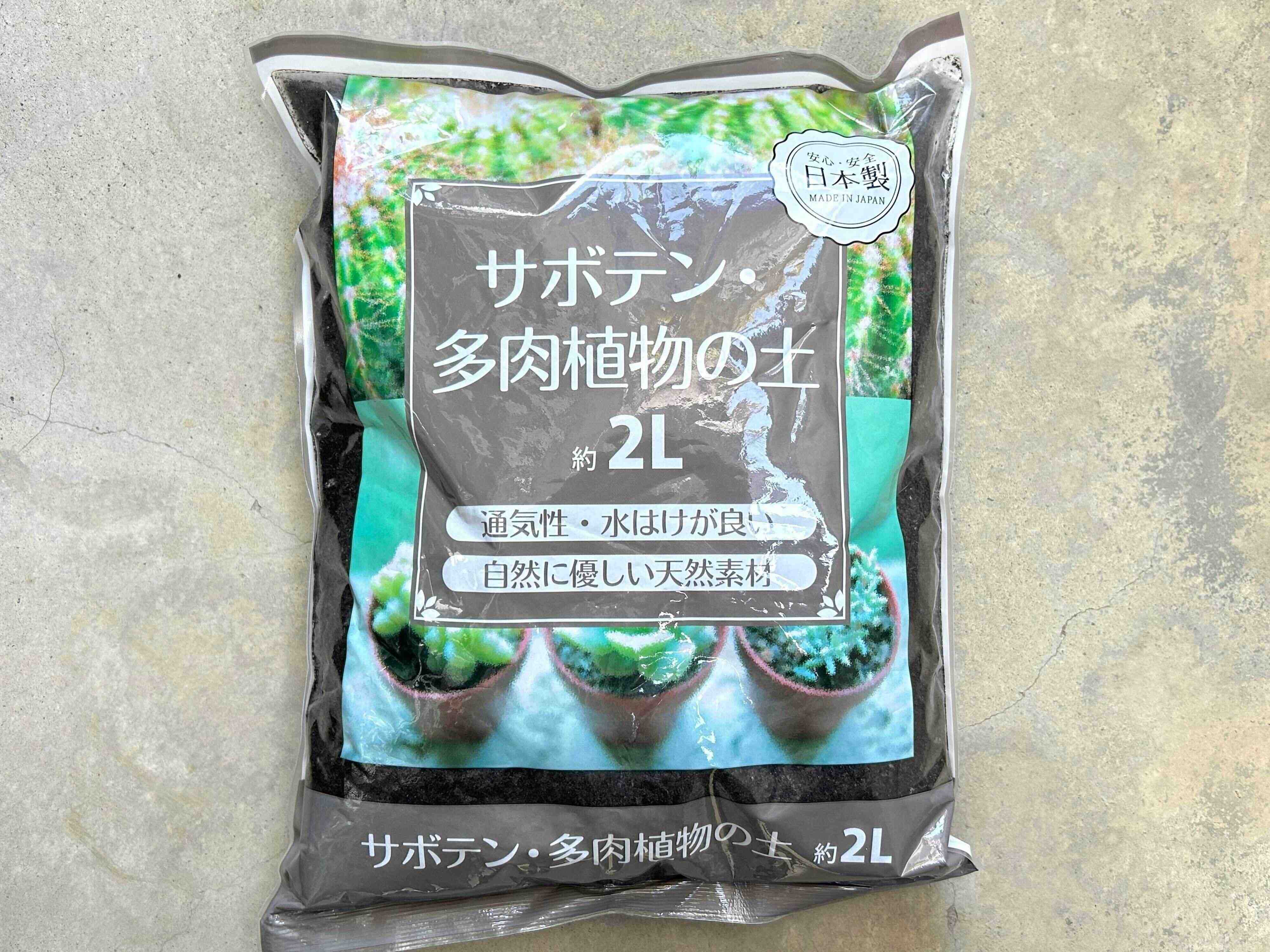 セリア　多肉植物　100均