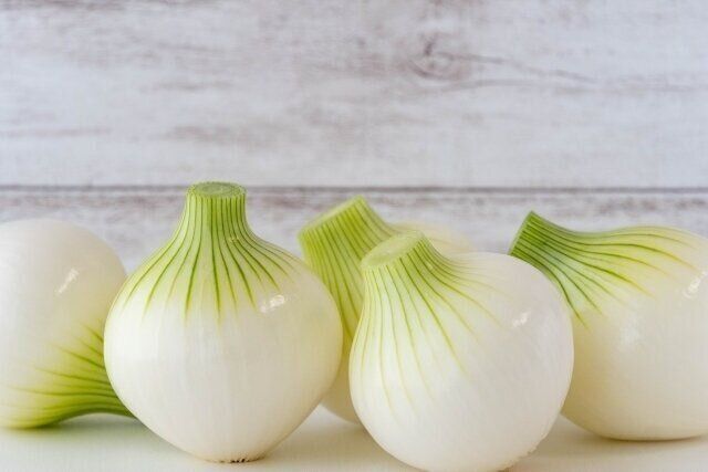 新玉ねぎ