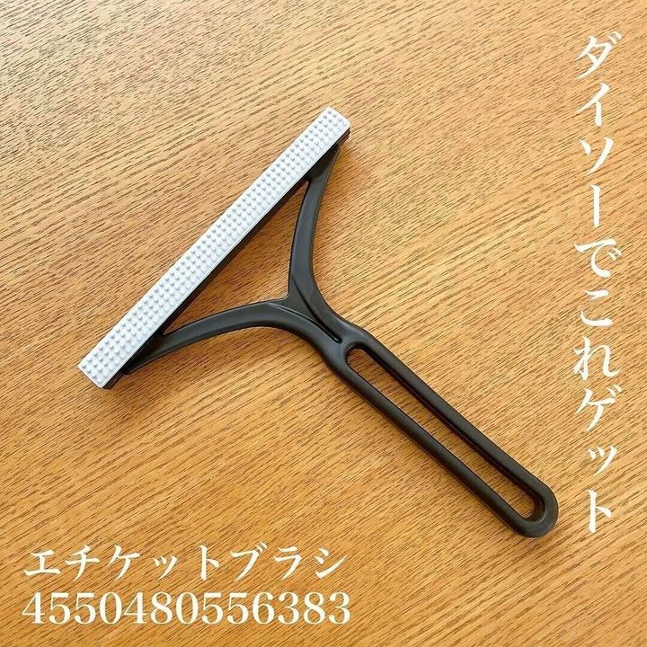 キレイになって満足!「エチケットブラシ」