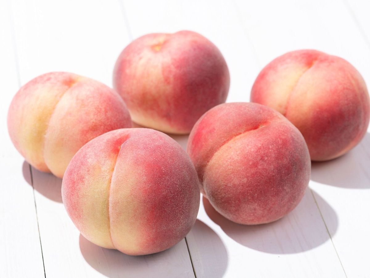 ホワイトボードに桃。夏のフルーツ。