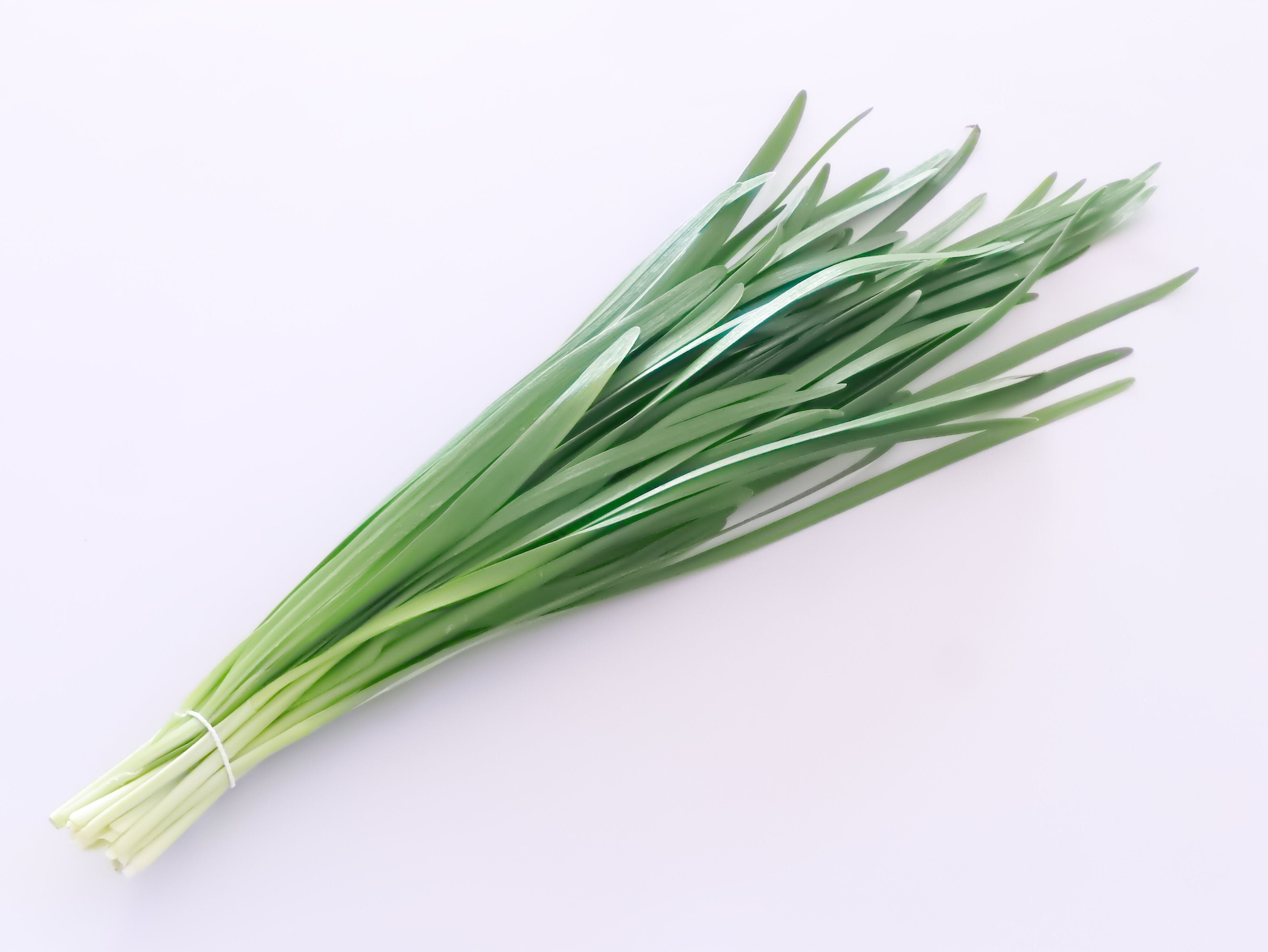 旬の「ニラ」スーパーで買うときにおいしいものを見分けるコツとは？