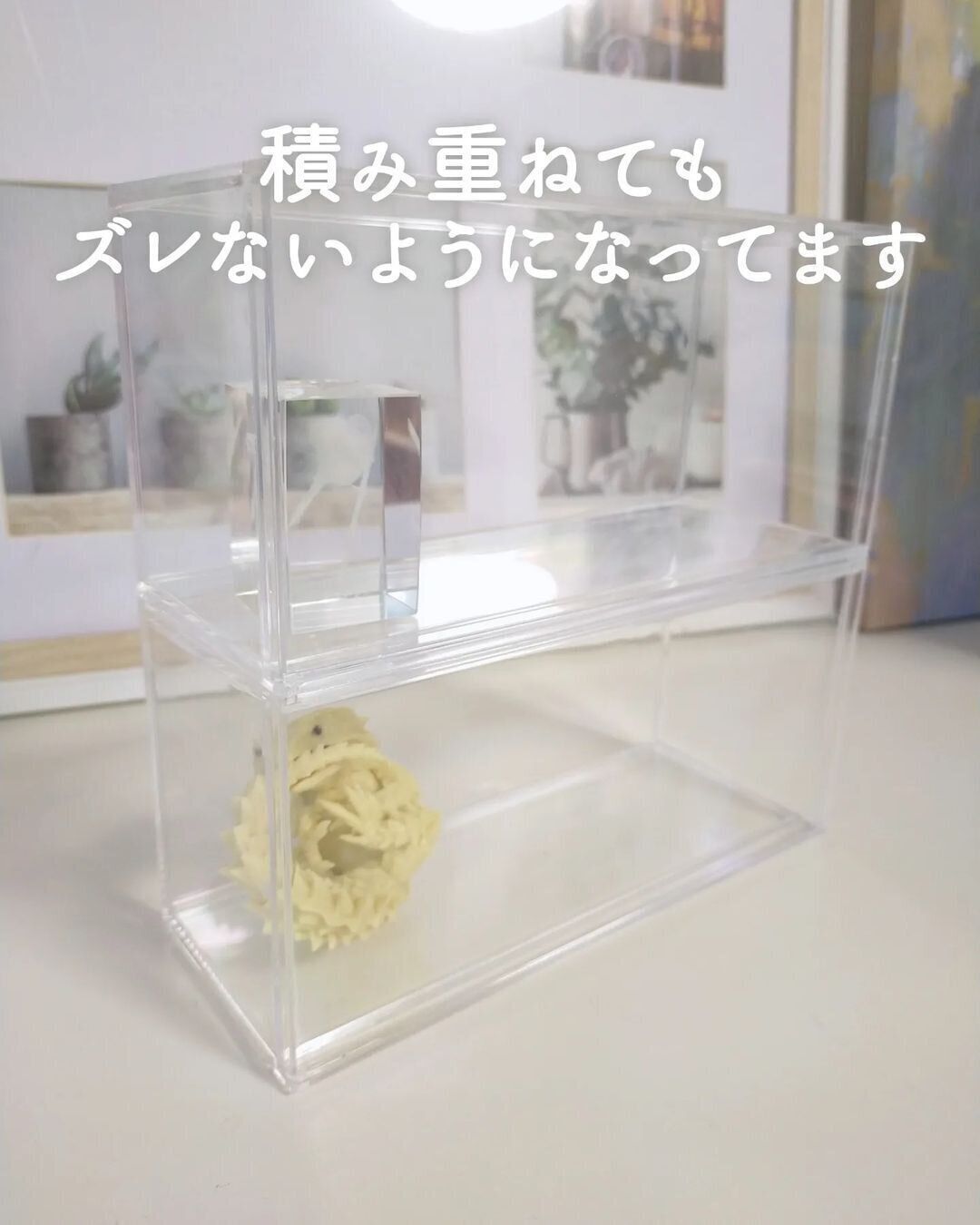 【セリア】マニアにおすすめ！ディスプレイケース