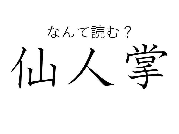 知っていると自慢できる 難読漢字クイズ 仙人掌 はなんて読む サンキュ 知っていると自慢できる 難読漢字クイズ 仙人掌 はなんて読む サンキュ