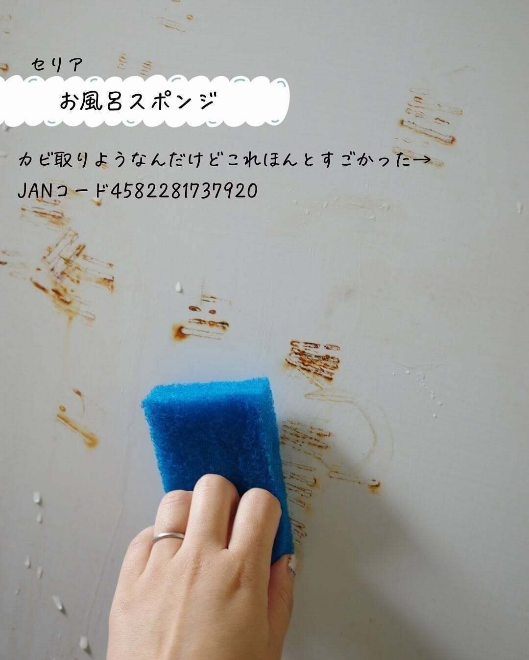 これほんとすごかった！「カビとりスポンジ」