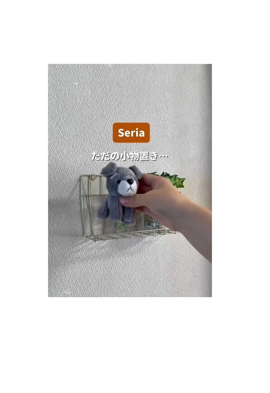 【セリア】ただの小物置きじゃもったいない！ワイヤーシェルフ活用術