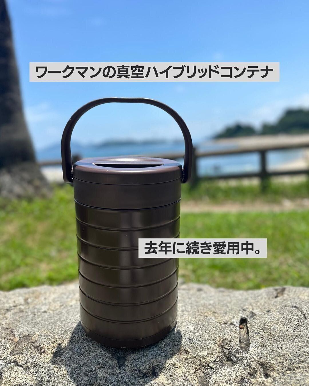 【ワークマン】夏キャンに最適！真空ハイブリッドコンテナ