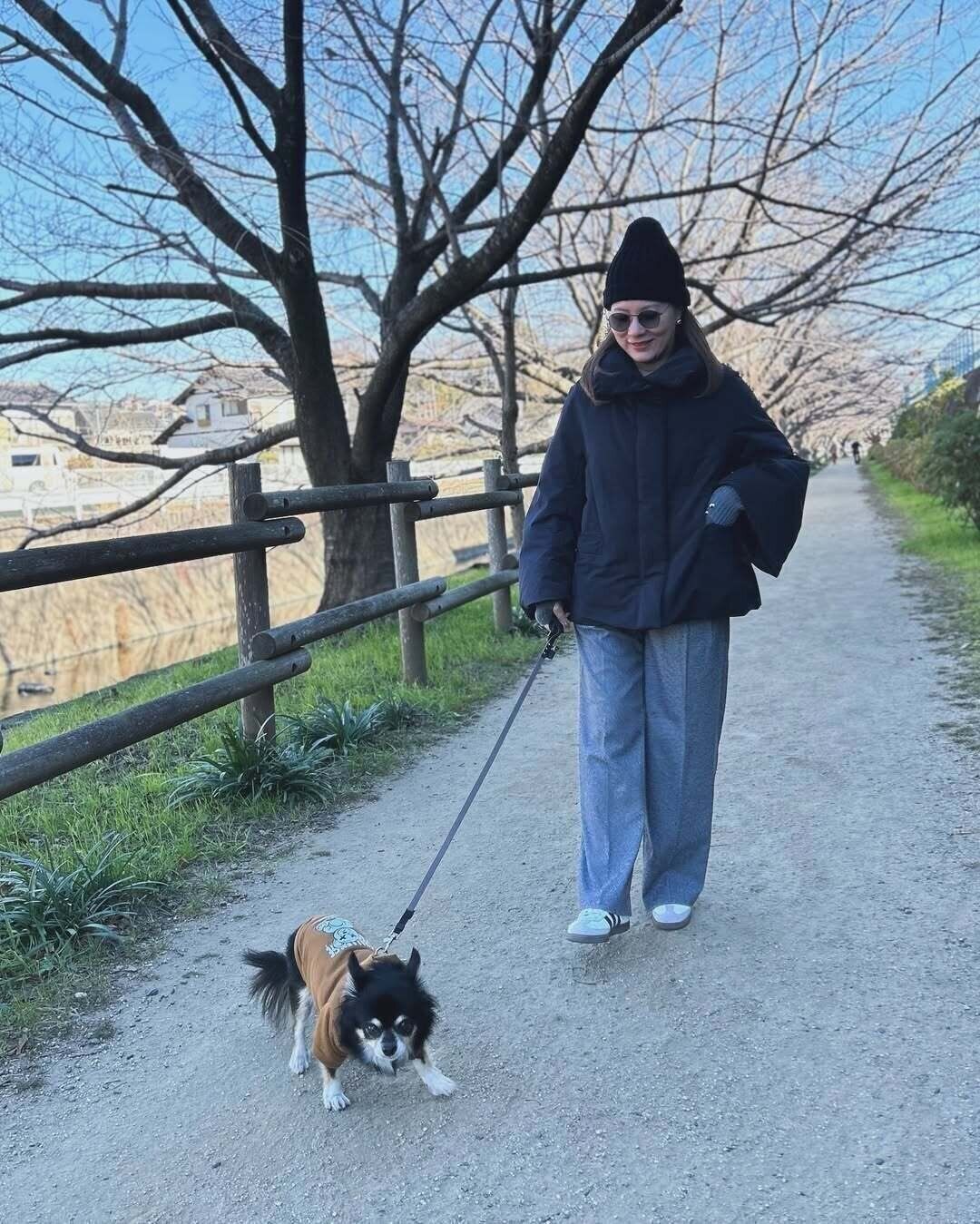 【ユニクロ】待望の「復刻ダウン」が話題！4年愛用しているオシャレ賢者も