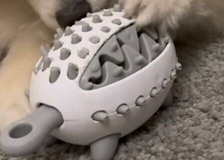 ペット用ハリネズミのエサ探しおもちゃ