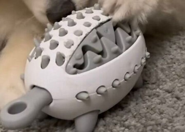 ペット用ハリネズミのエサ探しおもちゃ