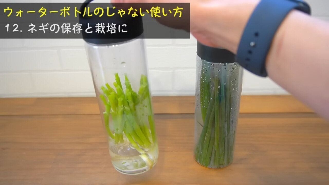 ウォーターボトル 持ち手付き