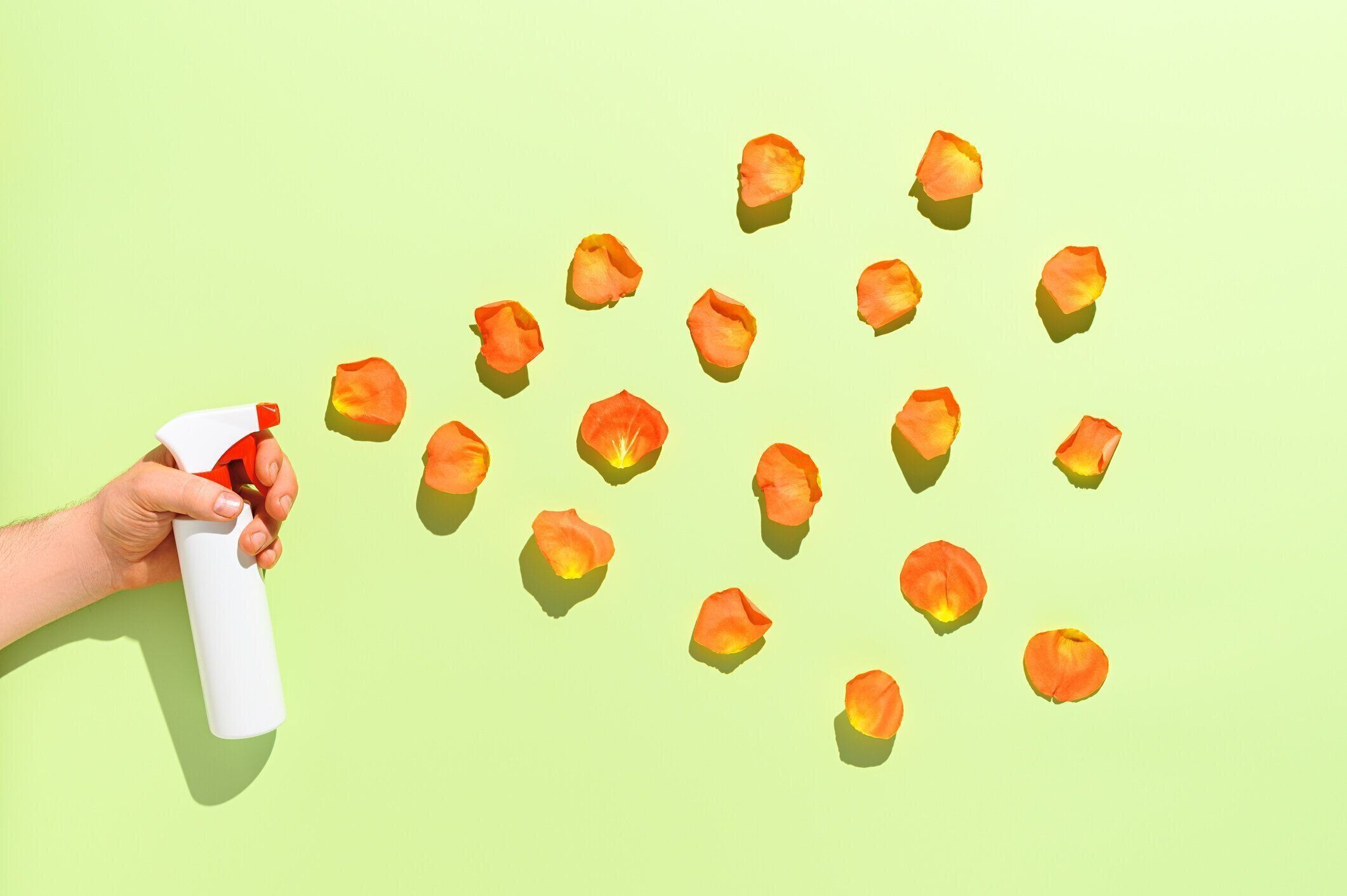 パステルグリーンの背景に内側から花びらの花と白いボトルスプレー