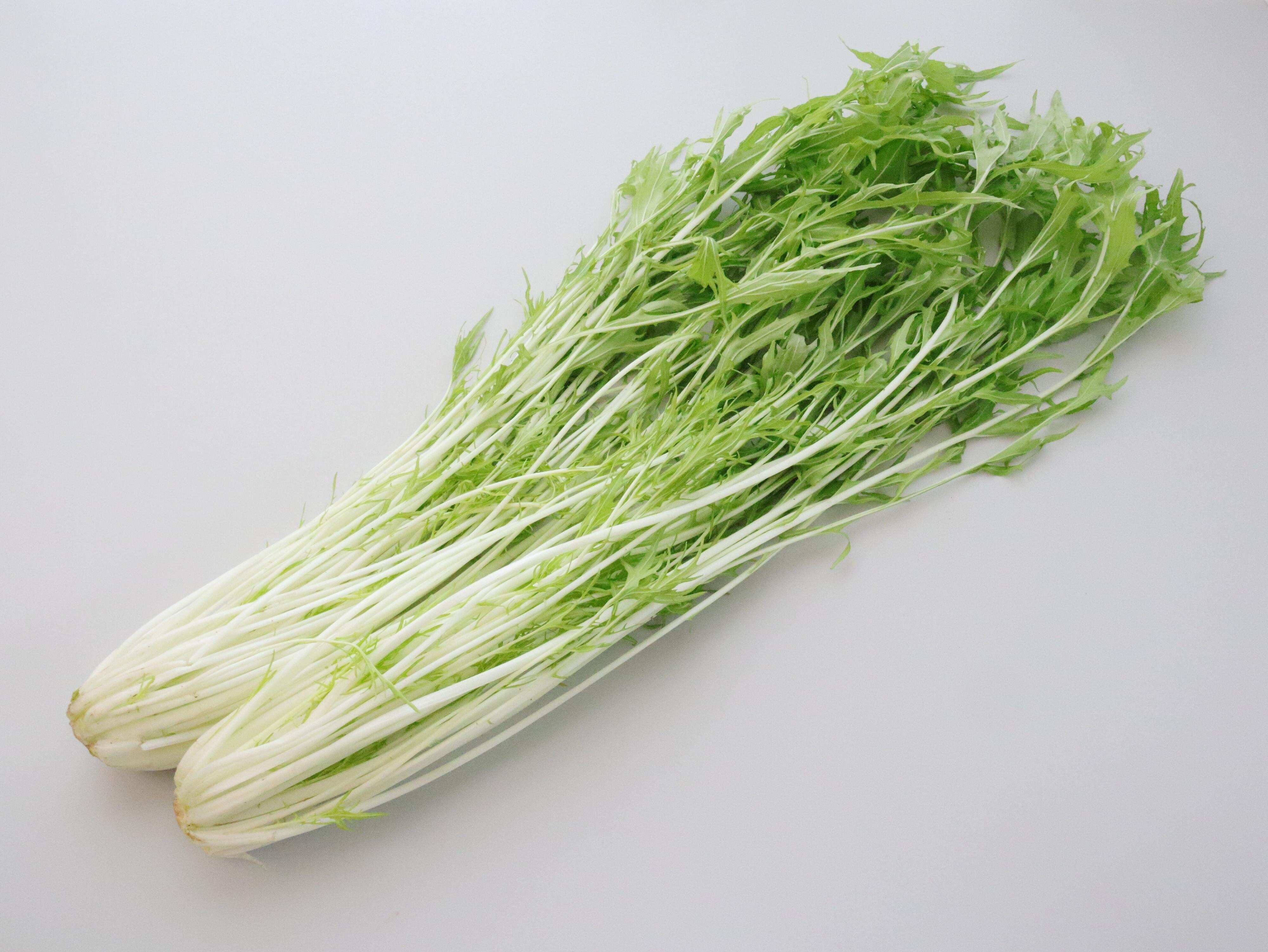 混ぜるだけでめちゃうま！旬の水菜で作る「水菜と梅の混ぜごはん」